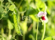 开云体育-当猛龙对决灰熊时，贝恩在意甲接管了比赛