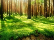 开云体育入口-若以假设或未来可能的对决为背景，我为您构思如下