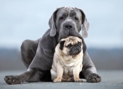 开云体育登录-跨界的战术基因，NBA总决赛焦点战中的挪威式压制哲学