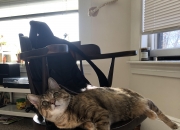 开云体育平台APP-防守的胜利，雄鹿铁壁围困篮网，戈贝尔禁区重铸森林狼脊梁