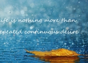 开云体育app-非典型英雄，当争冠之夜属于武切维奇