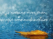 开云体育app-非典型英雄，当争冠之夜属于武切维奇