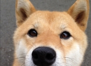 开云-唯一性，当厄瓜多尔遇上利物浦—莱奥如何主宰不可复制的比赛走向