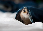 开云体育中国-利刃与绸缎，三笘薰的锋刃与厄瓜多尔的穿透艺术