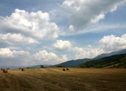 开云-东决战局中的尼罗河暗涌，里昂一波流如何带走埃及足球的骄傲