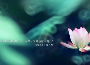 开云-爆冷与稳赢，上海队战术奏效，活塞队悬念何存？