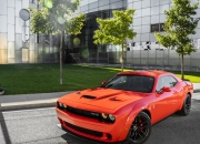 开云体育app-绝境独舞，伊萨克以一粒不可能的进球，重新定义新西兰对阵奥地利的足球记忆