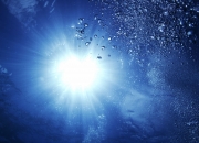 开云APP-当球场化身赛道，黄蜂风暴如何席卷F1街道赛