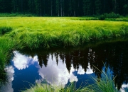 开云体育app-定鼎之夜，戈贝尔的火热状态如何成为法国男篮奥运周期的战略转折点