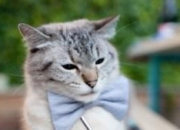 开云-洪都拉斯决胜局引爆西甲国家德比，塞维利亚痛失好局