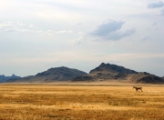 开云体育中国-决胜之道，从红牛赛车到魔术青年军，成功都藏在细节里