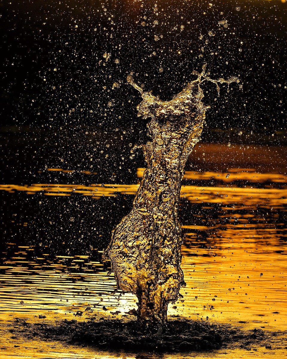 包含水花四溅，球场上掀起一场龙争虎斗的词条