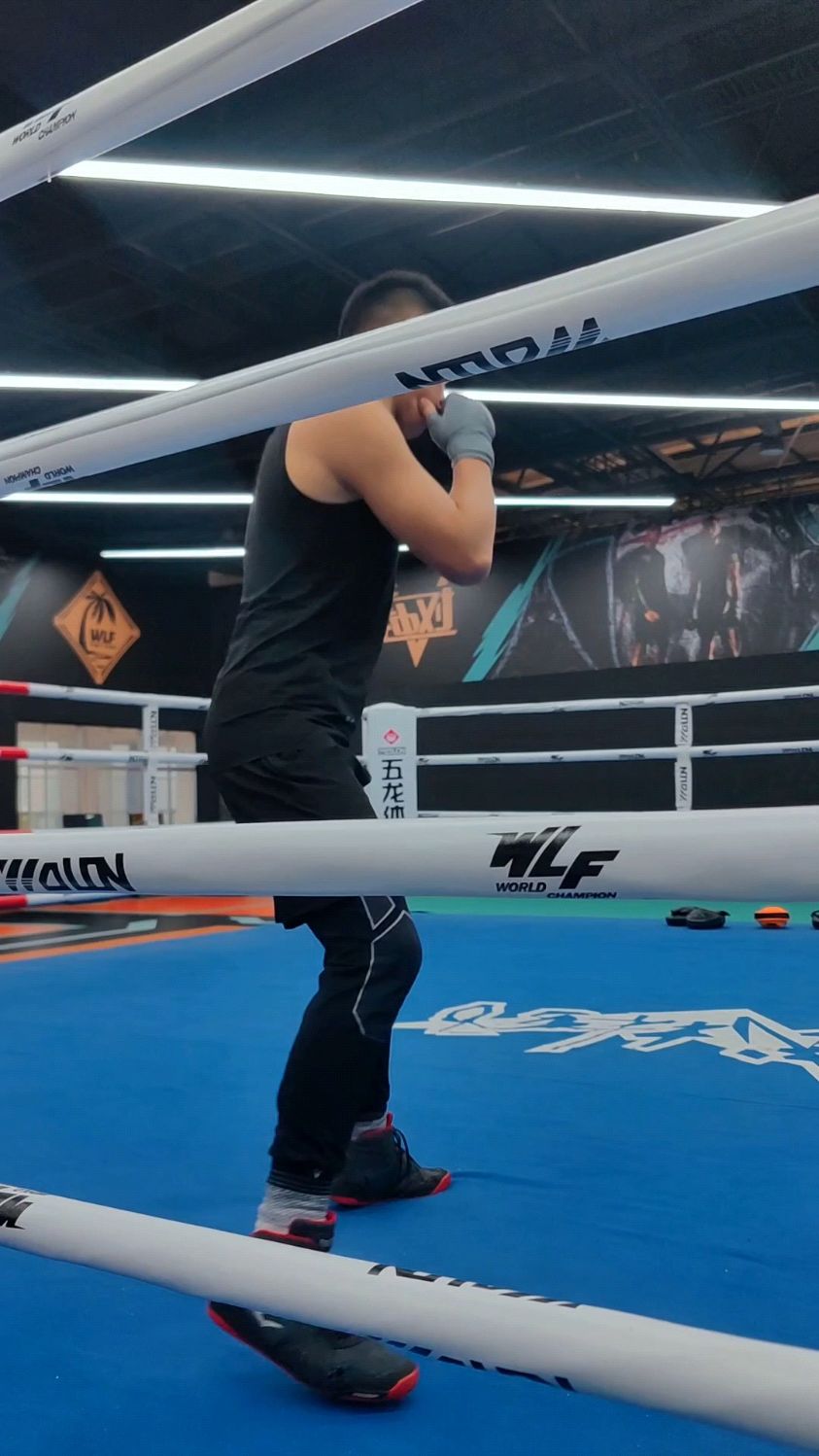 拳击热度飙升，网友热议不断