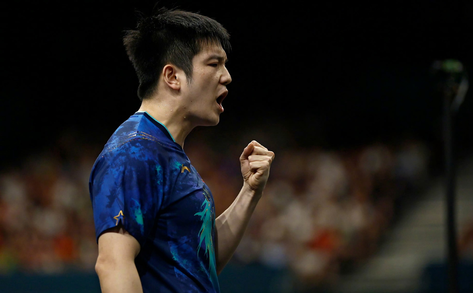 奥地利队险胜法国队，樊振东带队取胜