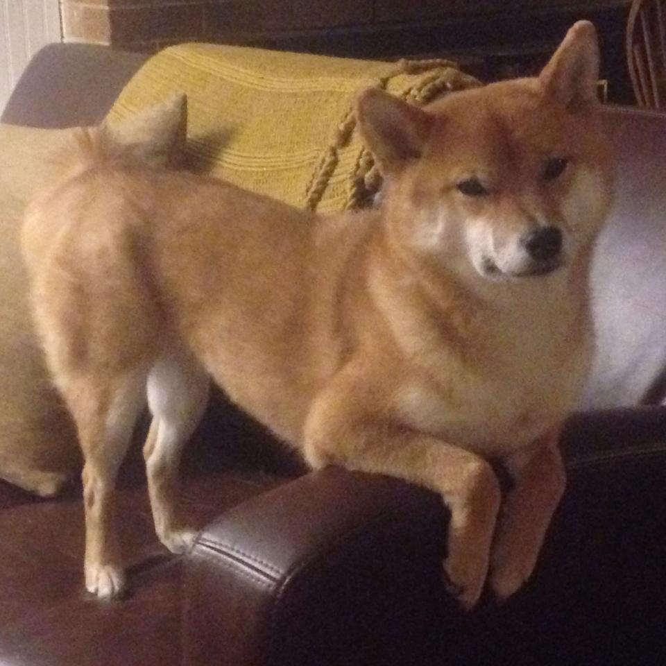 暴雨夜，范弗利特把三分里程碑刻进珠江记忆