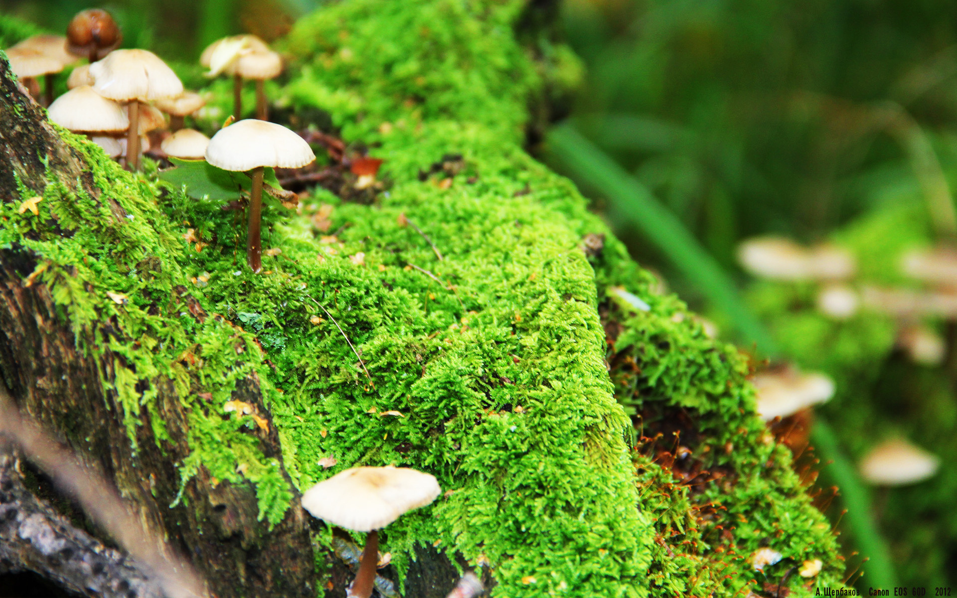 足球的平衡机制，当本泽马的枪火点燃莱比锡的铁壁