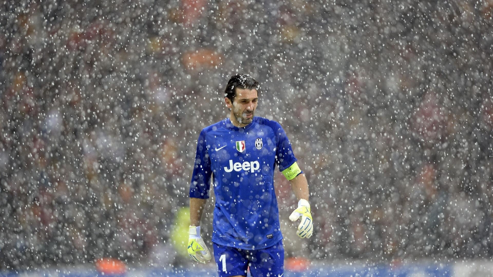 拟定的文章标题