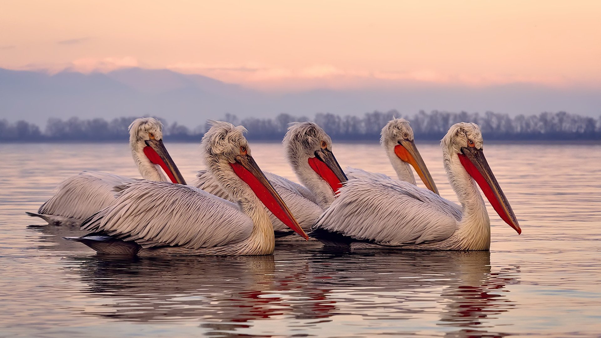 意甲焦点战之夜，阿什拉夫钢铁防线，锁死对手的完美演绎