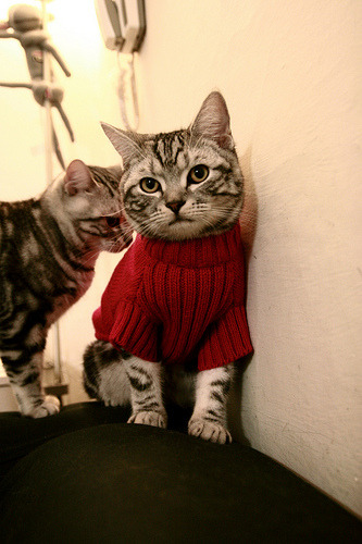 范弗利特,淬火之夜,王者之证—欧冠半决赛的硬仗诗篇