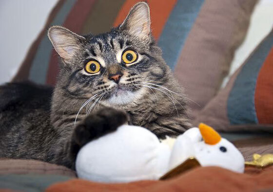 防守巨兽的进攻狂潮，德里赫特带领马赛战胜佛罗伦萨