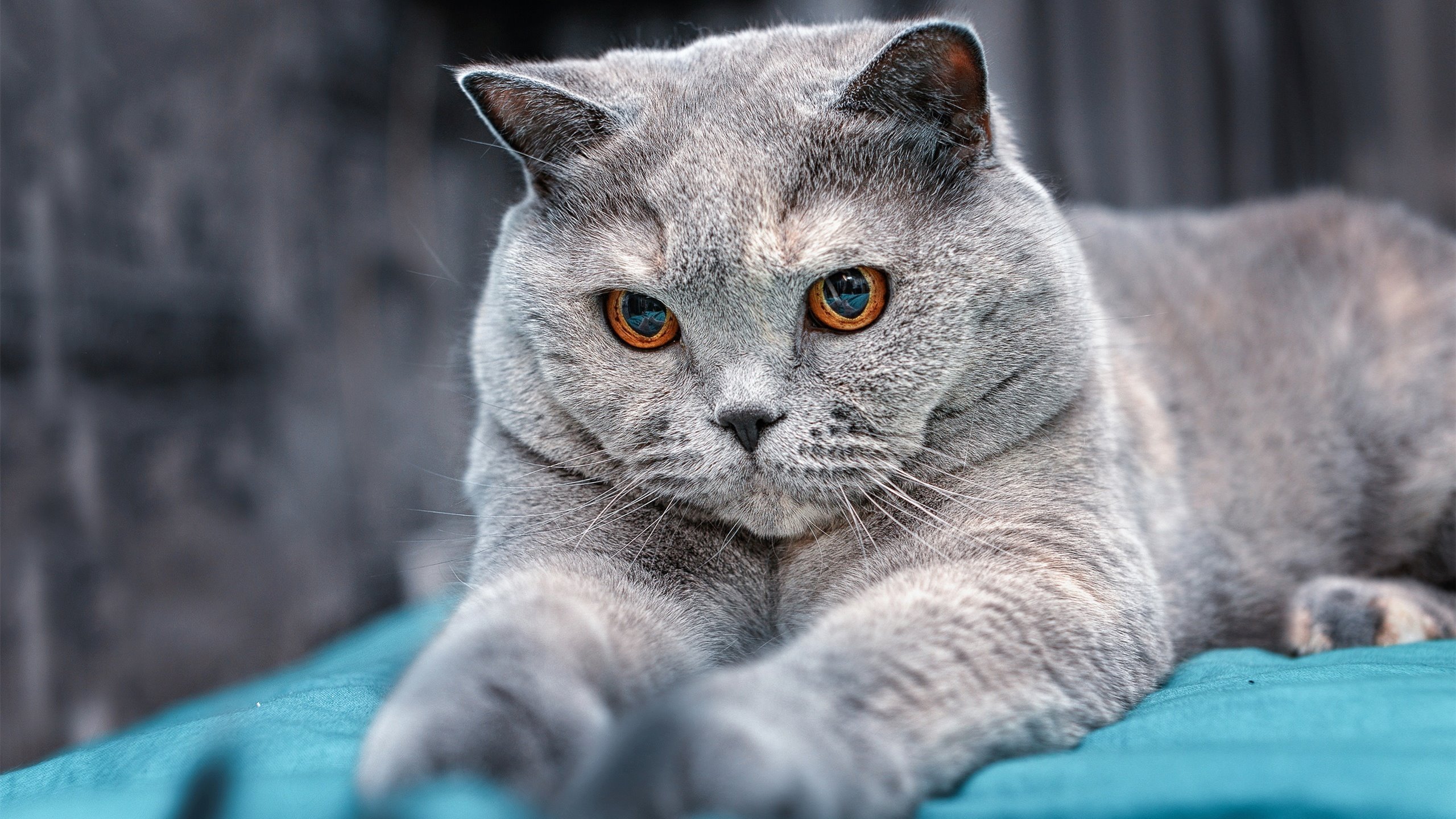 1.金玟哉的致命九分钟，曼联如何从悬崖边完成对毕尔巴鄂的史诗翻盘