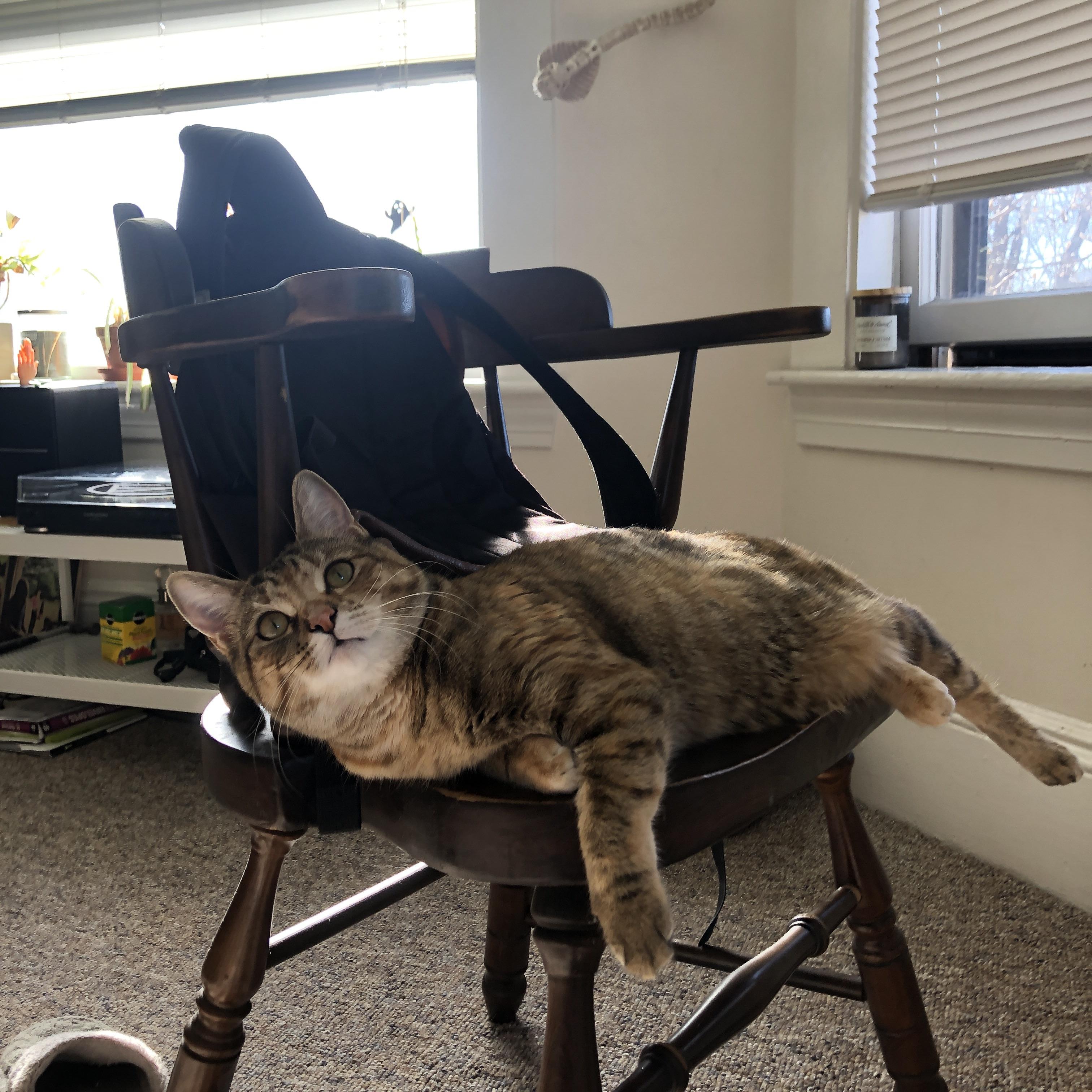 防守的胜利,雄鹿铁壁围困篮网,戈贝尔禁区重铸森林狼脊梁