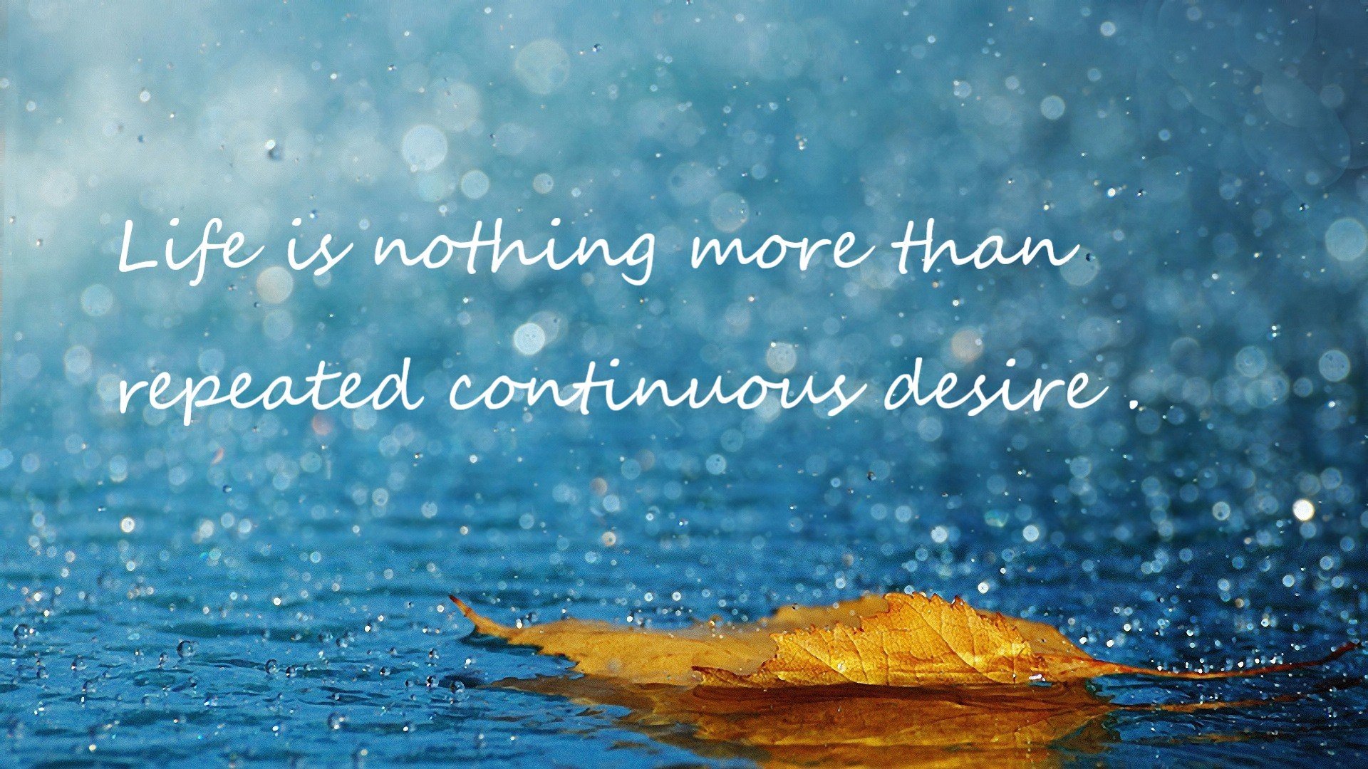 非典型英雄，当争冠之夜属于武切维奇