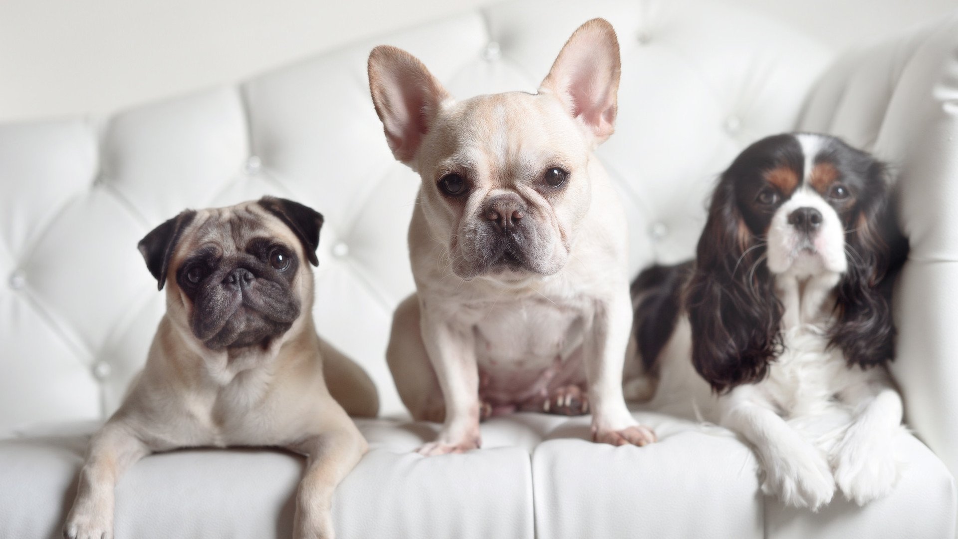 跨体育的争冠启示，英超焦点战与辽宁队带走勇士的共通哲学