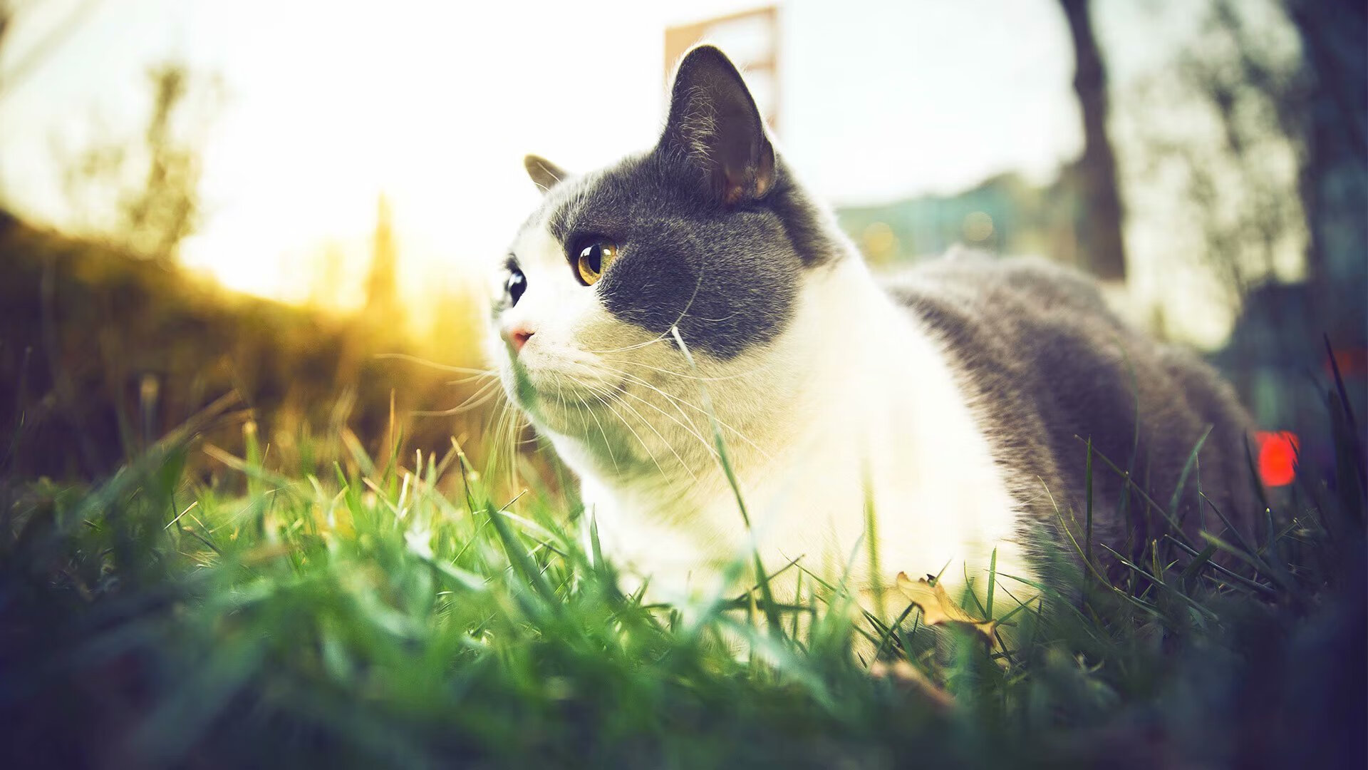 冰与火之歌，热火团队风暴 vs 布克个人魔法 两种统治力隔空对话