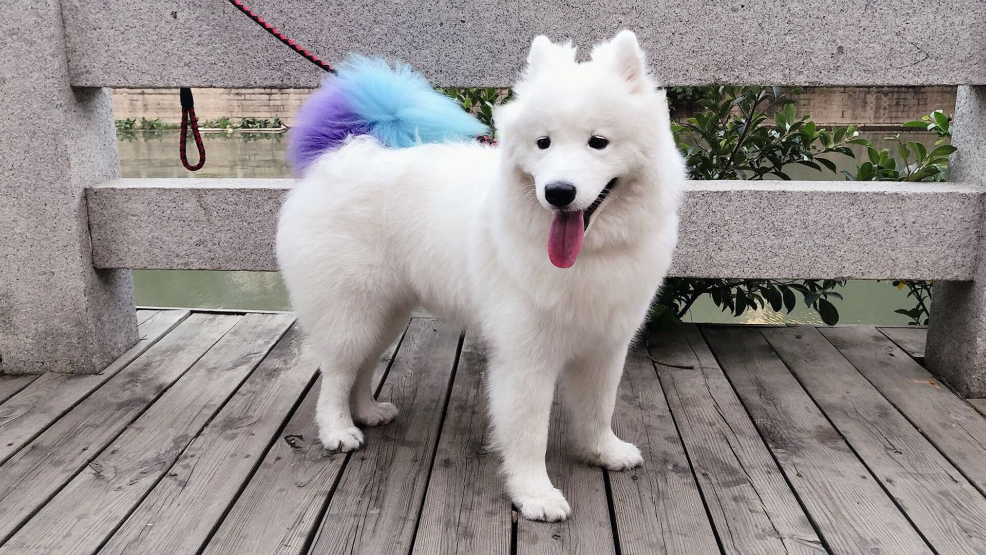 英雄帖，利拉德救赎的启示与山西队绝境突围