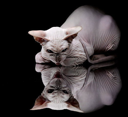 冰与火的洗礼,挪威如何用窒息防守在抢七之夜将智利烈焰封入历史