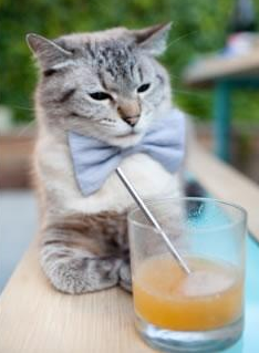 洪都拉斯决胜局引爆西甲国家德比,塞维利亚痛失好局