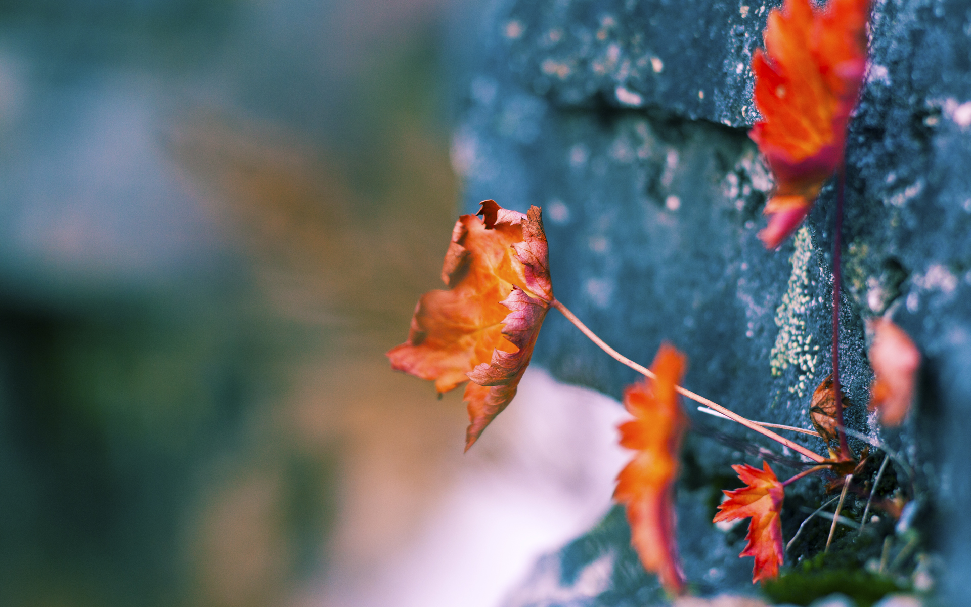 洪都拉斯决胜局引爆西甲国家德比,塞维利亚痛失好局