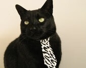 唯一性传奇,深圳队欧冠决赛踏平老鹰,改写足球历史的一战