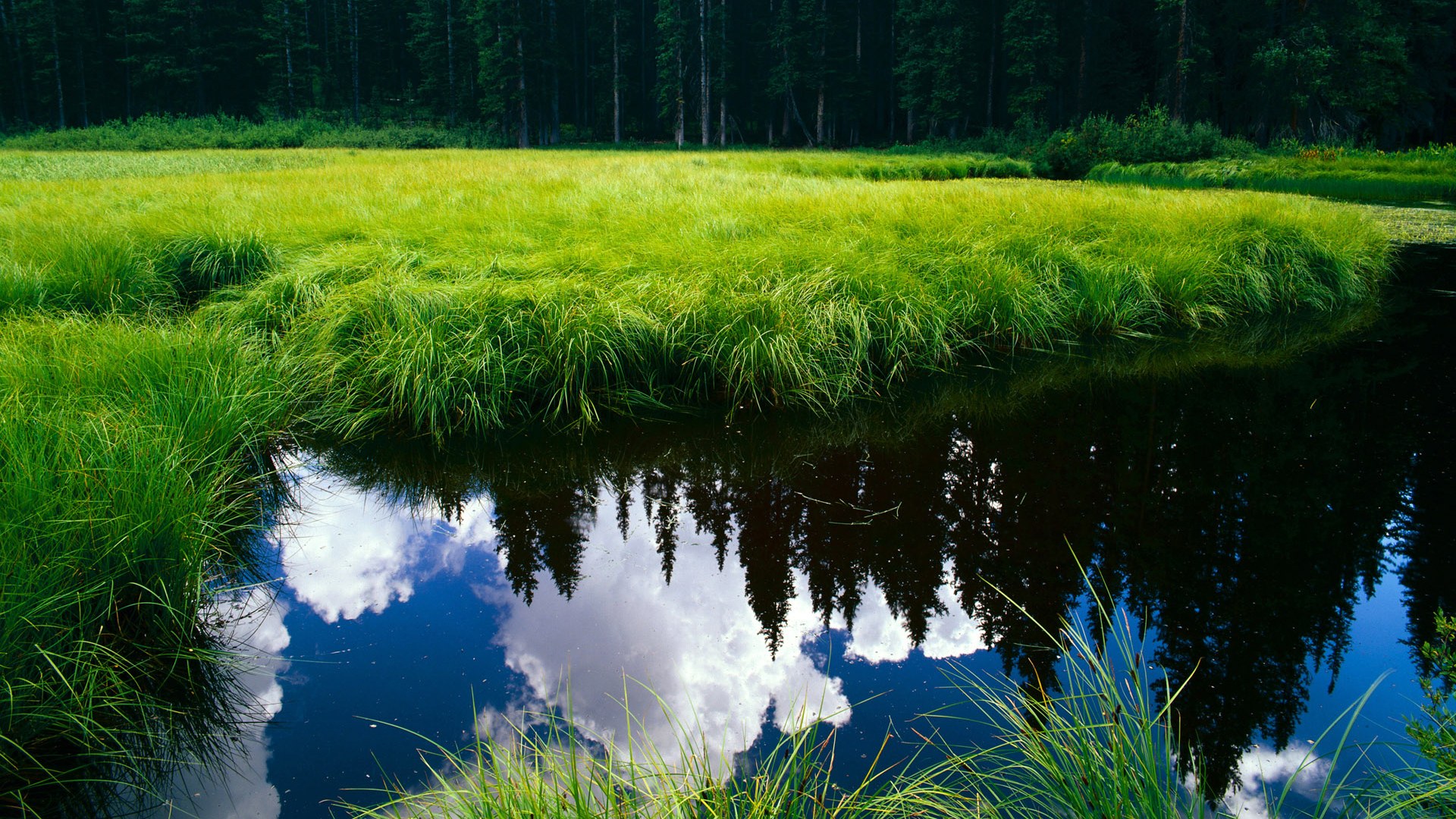 磐石与闪电，布雷默的90分钟铁壁，与雷恩15分钟的致命风暴