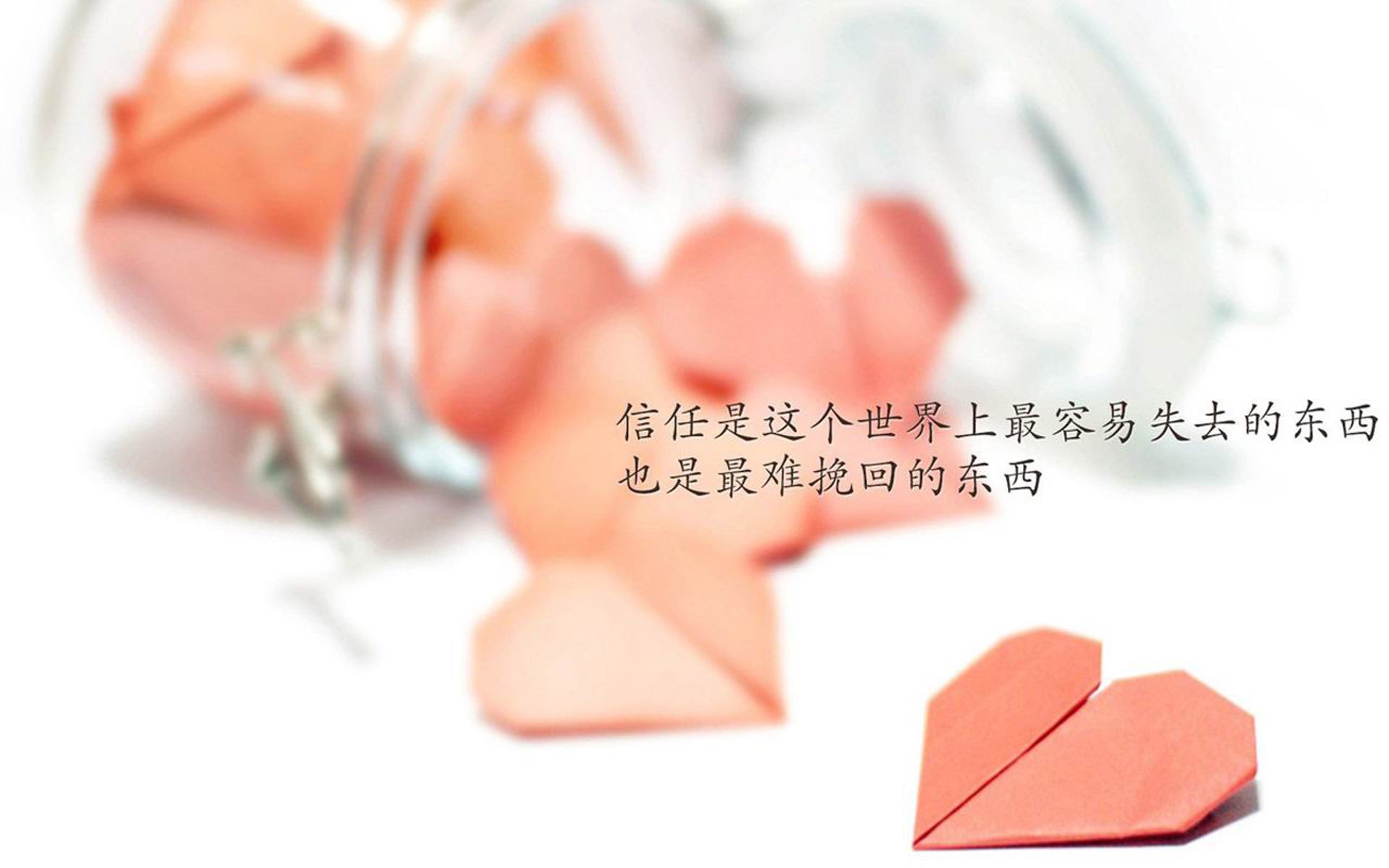 孤星闪耀,2026世界杯,凯恩的绝唱与尼日利亚的宿命一击