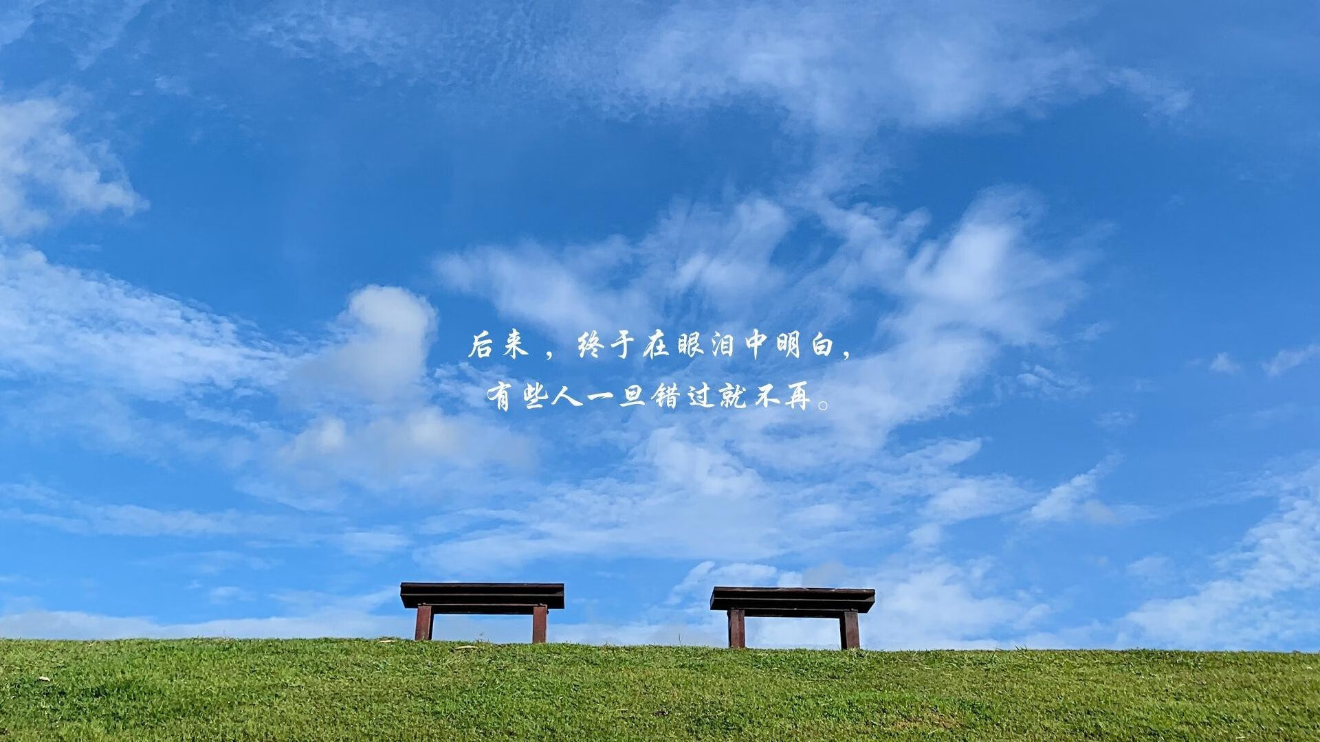 沙漠风暴席卷北美,伊拉克防守反击击碎美国梦,萨内独造三球闪耀2026世界杯F组