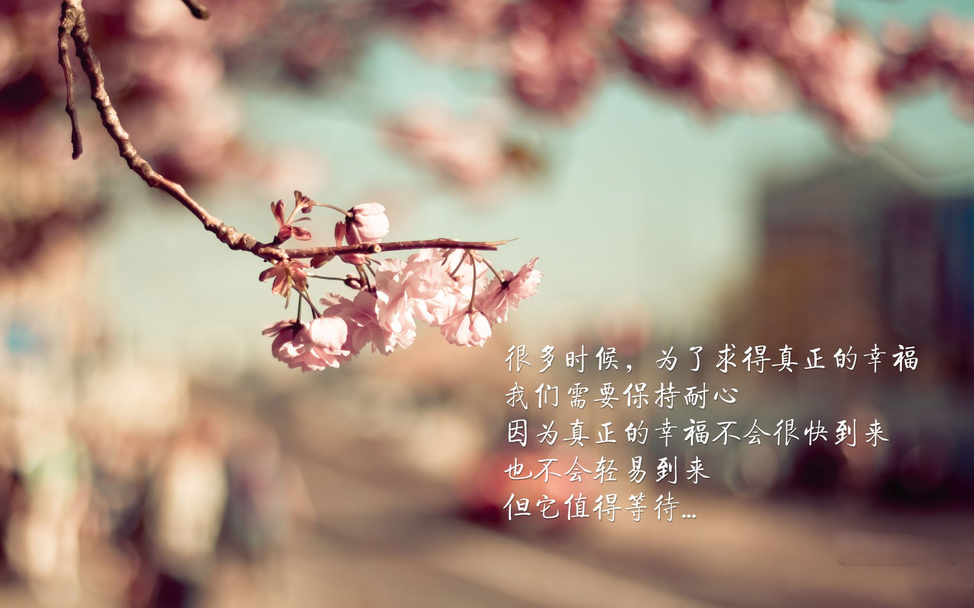 中场定乾坤，2026世界杯E组生死战，瑞士绝杀阿根廷，久保建英的统治级表演