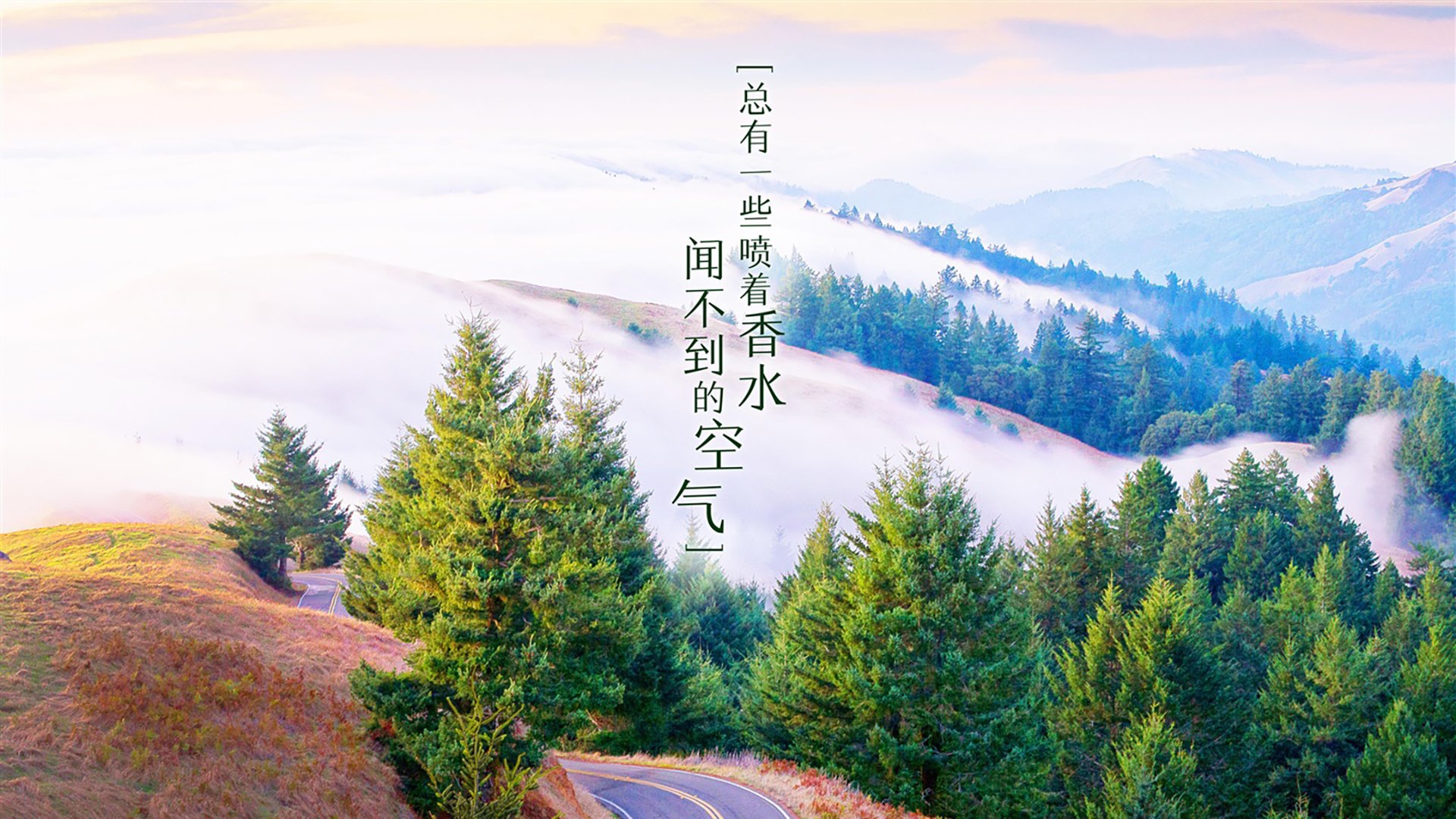 唯一的一战,当C罗的弧线划破非洲雄鹰的翅膀—2026世界杯尼日利亚vs克罗地亚战术启示录